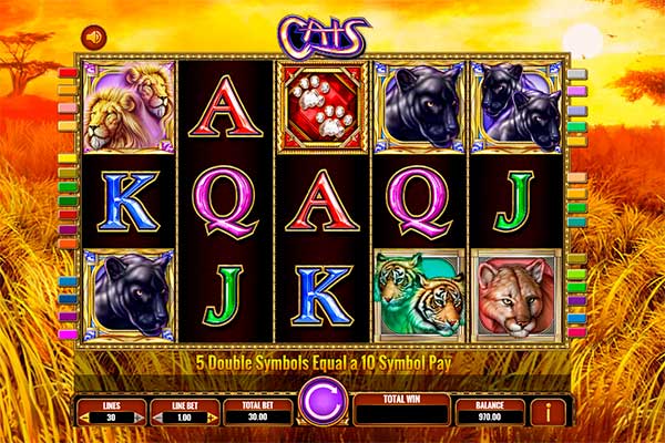 Cats slots 1