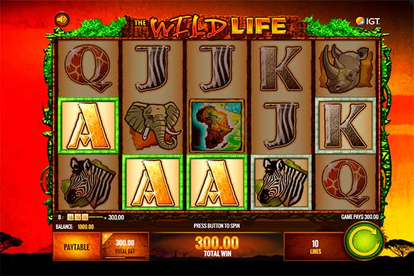 Wild life slots 1